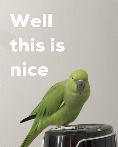 Happy Pleasantly Surprised GIF