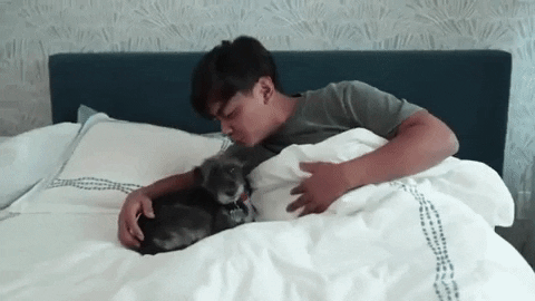 Fun Nap Time Gif By Guava Juice Find Share On Giphy