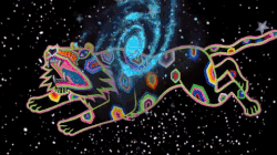 Chi saresti in un universo parallelo