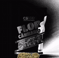 CBDOIS GIF