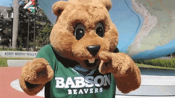 babsoncollege babson babson college GIF