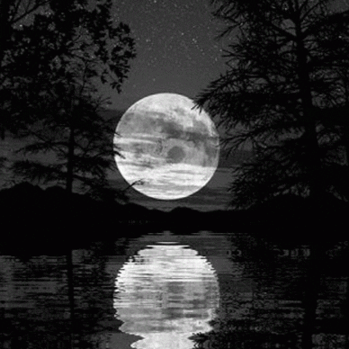 Full-moon GIFs - Get the best GIF on GIPHY