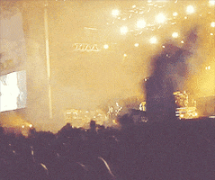 green day concert GIF