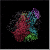 Mesmerizing Abstract Art GIF by xponentialdesign