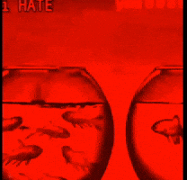 I Hate Yall GIF