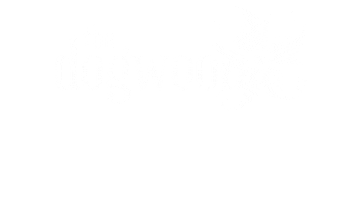 Dogwood Houston Sticker