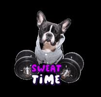 Stay Home Work Out GIF by Oscar The Frenchie