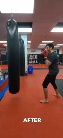 Kickboxing GIF - Find & Share on GIPHY