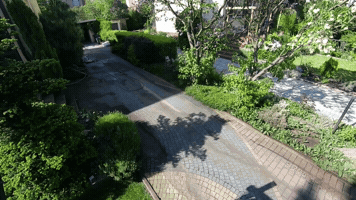 Dibo GIF