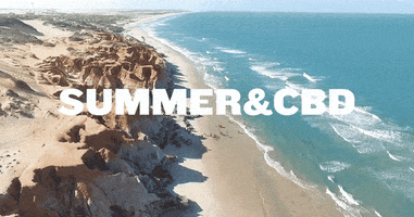 Summer Beach GIF by BYK Digital