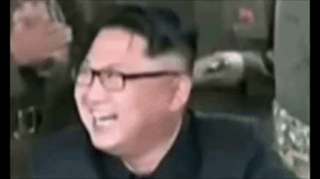 annstafford north korea kim jong un GIF