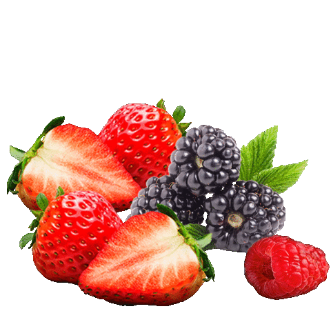 Bobs Sticker by Bob's Brasil