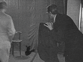 200.gif?cid=fc005b081767719e10050b8c0620611434ca960b869781e9&rid=200.gif&ct=g