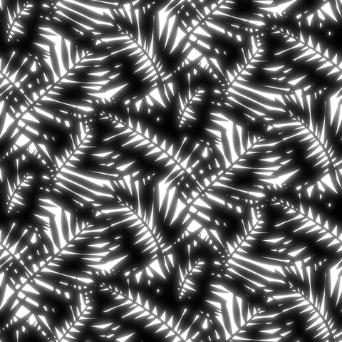glow black and white GIF by xponentialdesign