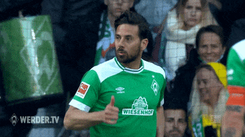 soccer yes GIF by SV Werder Bremen