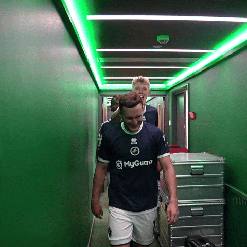 The Den Win GIF by MillwallFC