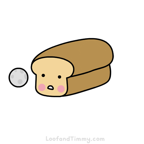 loofandtimmy moon help follow bread GIF