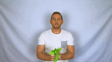 GIF by BUcoaching