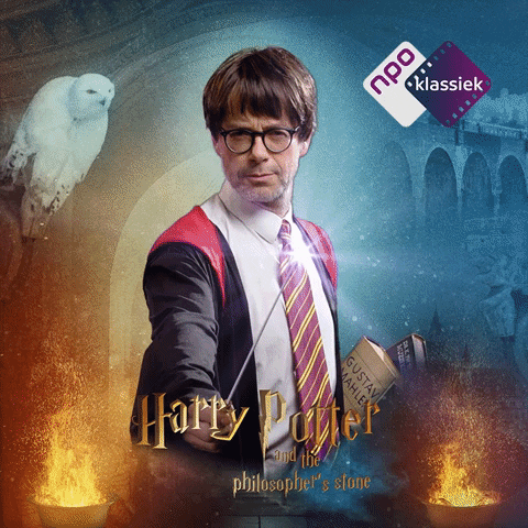Harry Potter Television GIF by NPO Klassiek