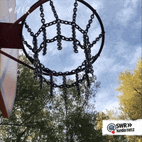 You Got It Basketball GIF by SWR Kindernetz