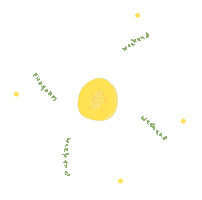 NMW Skincare Sticker