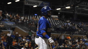 Durham Bulls GIF