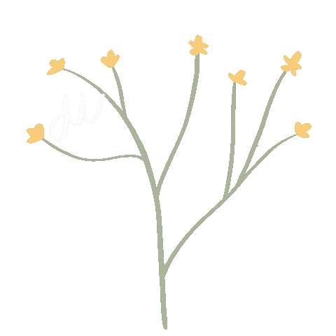 Codex Beauty Sticker