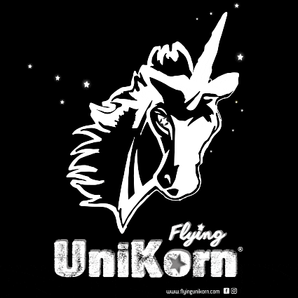 Logo Stars GIF by Flying UniKorn