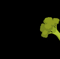 OtScan GIF