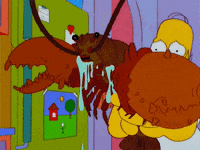 Rock-lobster GIFs - Get the best GIF on GIPHY