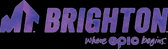 MTBrighton GIF