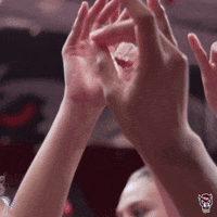 Team Hands GIF by NC State Athletics