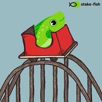 Rollercoaster Proof Of Stake GIF by stake.fish