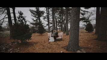 Wedding Forest GIF by Switzerfilm