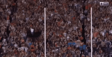 Football GIF