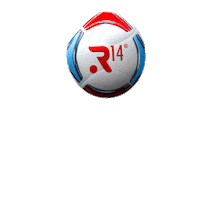 R14 Agencia Sticker
