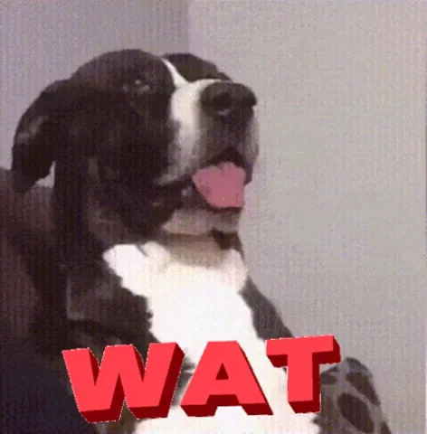 Reaction Wtf GIF by MOODMAN