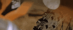 Motorcycle Tire GIF by Mitas Tires North America