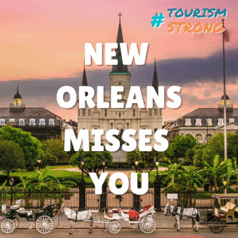 New Orleans GIF
