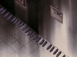 Revolutionary Girl Utena GIF