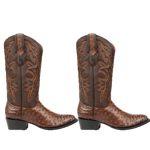 Botas Jaca Sticker