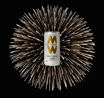 Guy Fawkes Firework GIF by Most Wanted Wines