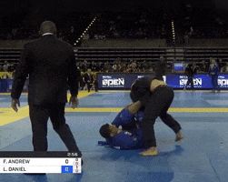 Bjj GIF