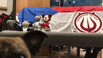 Straight to Ale GIF