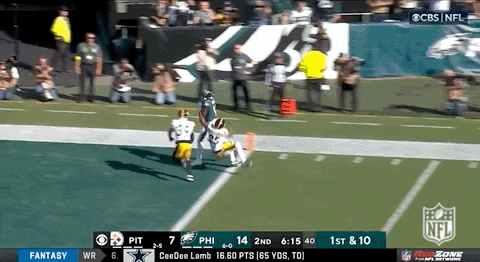 Eagles GIFs - Get the best GIF on GIPHY