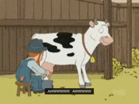 Cartoon-cow GIFs - Get the best GIF on GIPHY Cartoon-cow GIFs - Get the best GIF on GIPHY