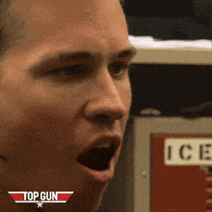 Giphy - Tom Cruise Goose GIF by Top Gun