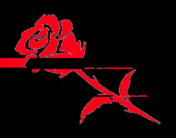 robjelinskistudios flower rose applause rip GIF