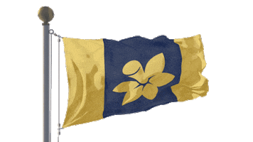 Daffodilday Cancercouncil Sticker by cancervic