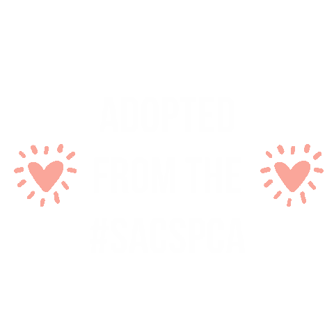Sspca Sticker by Sacramento SPCA